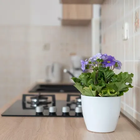 Luxury With Garden Jacuzzi And Wellness Διαμέρισμα Τρογκίρ