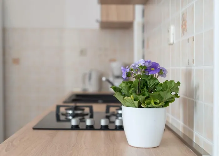 Luxury With Garden Jacuzzi And Wellness Διαμέρισμα Τρογκίρ